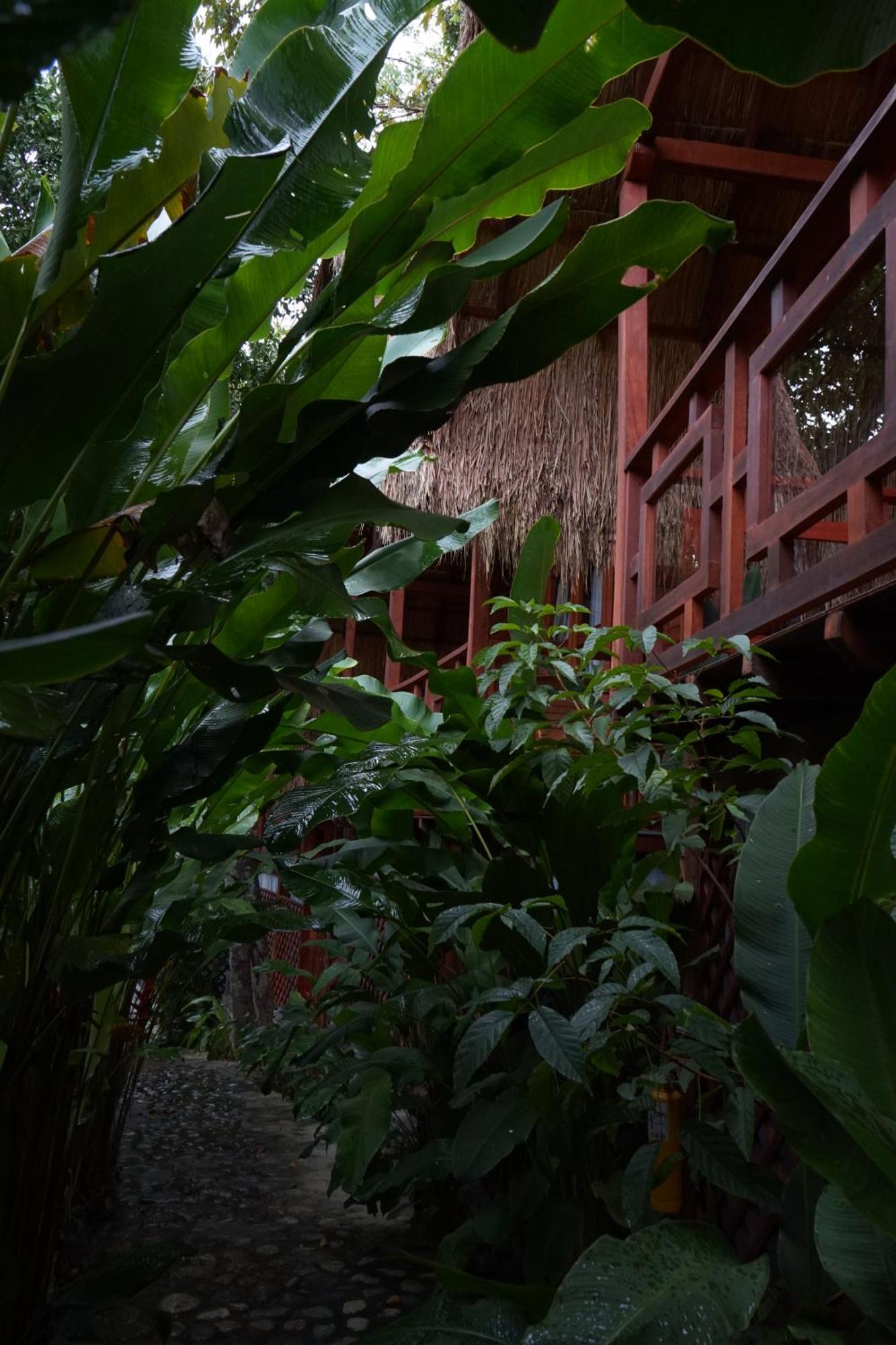 Bio Rio Hotel San Jerónimo Eksteriør bilde